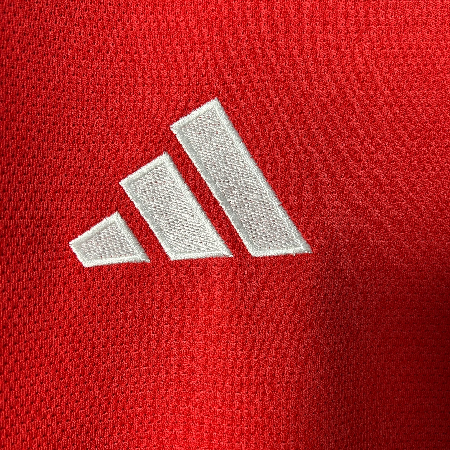 Internacional Brazil 2025/26 Home Manga Larga