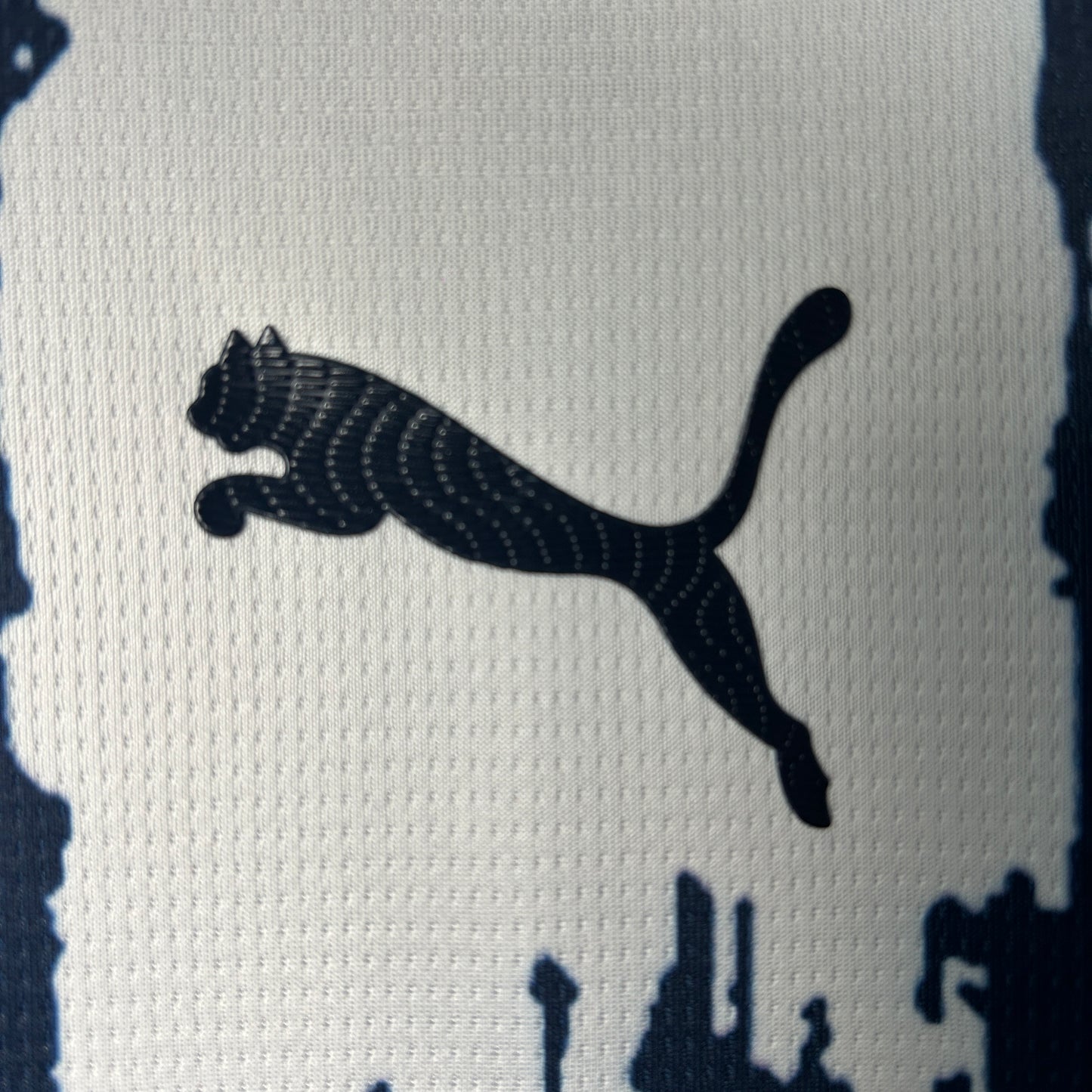 Monterrey 2025/26 Home