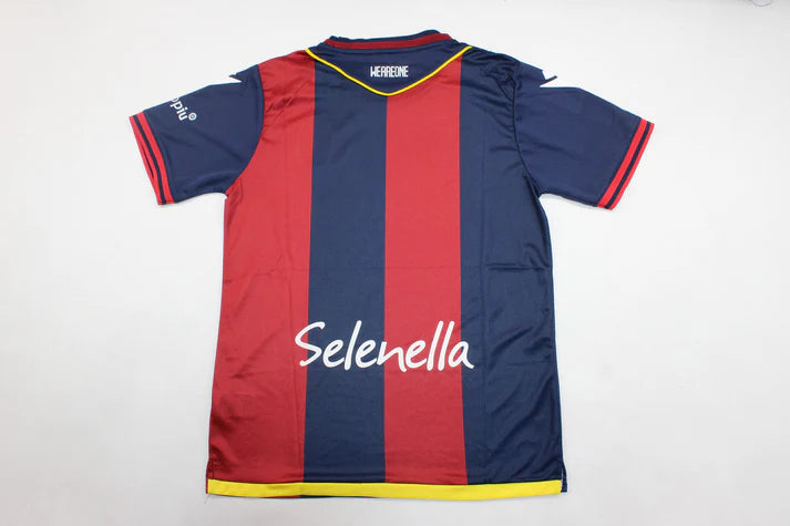 Fiorentina 2024/25 Home