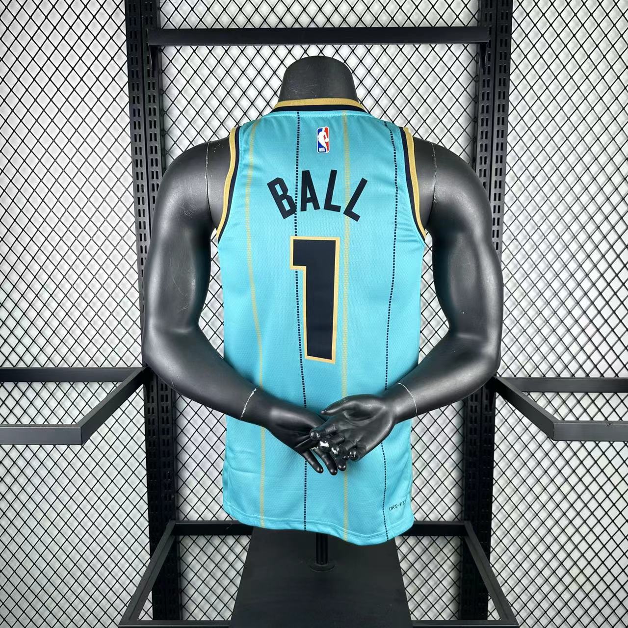 Charlotte Hornets 2024/25