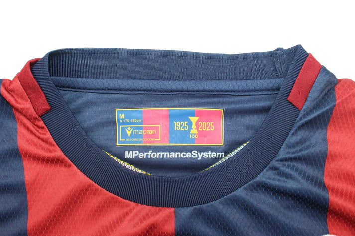 Fiorentina 2024/25 Home