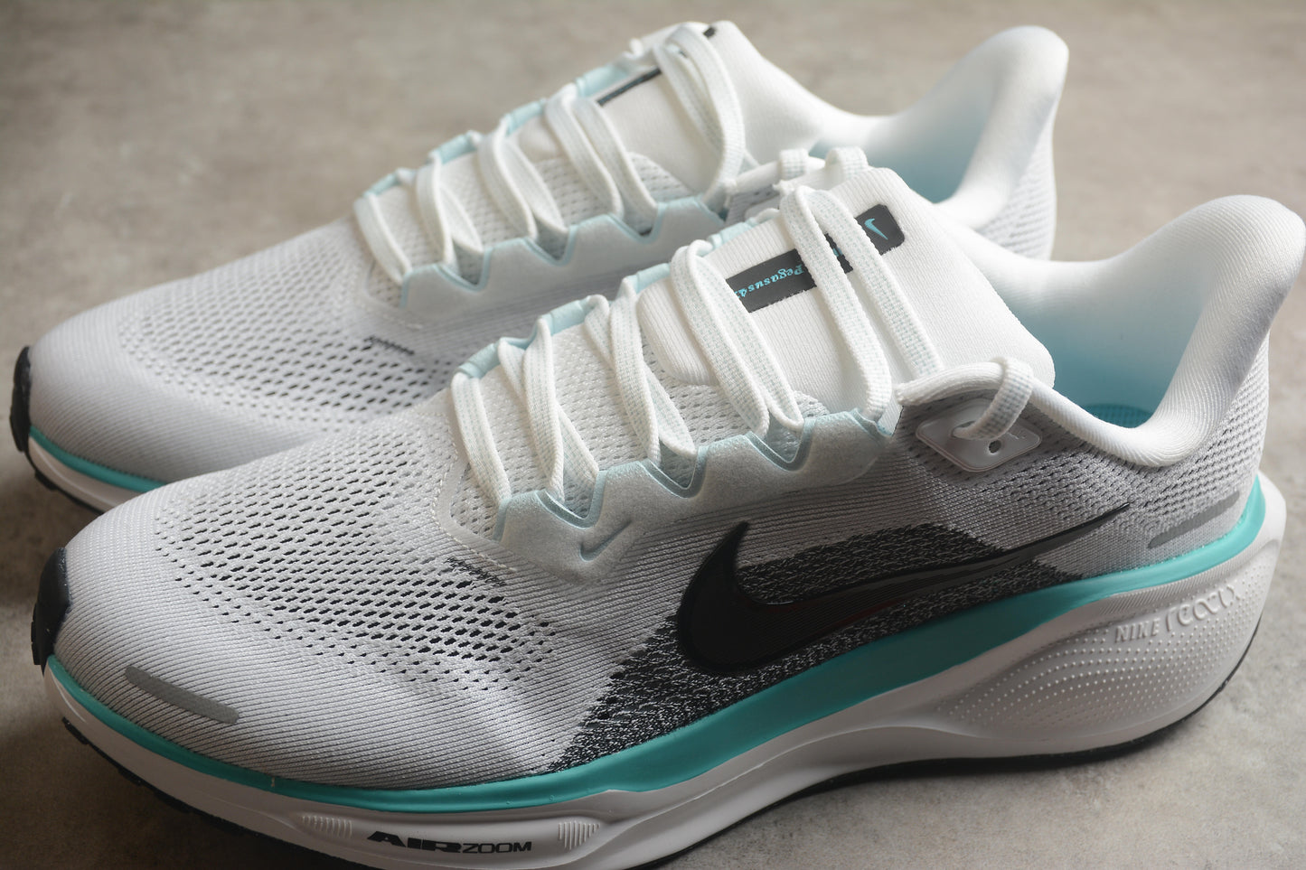 Air Zoom Pegasus 41 FD2722 103