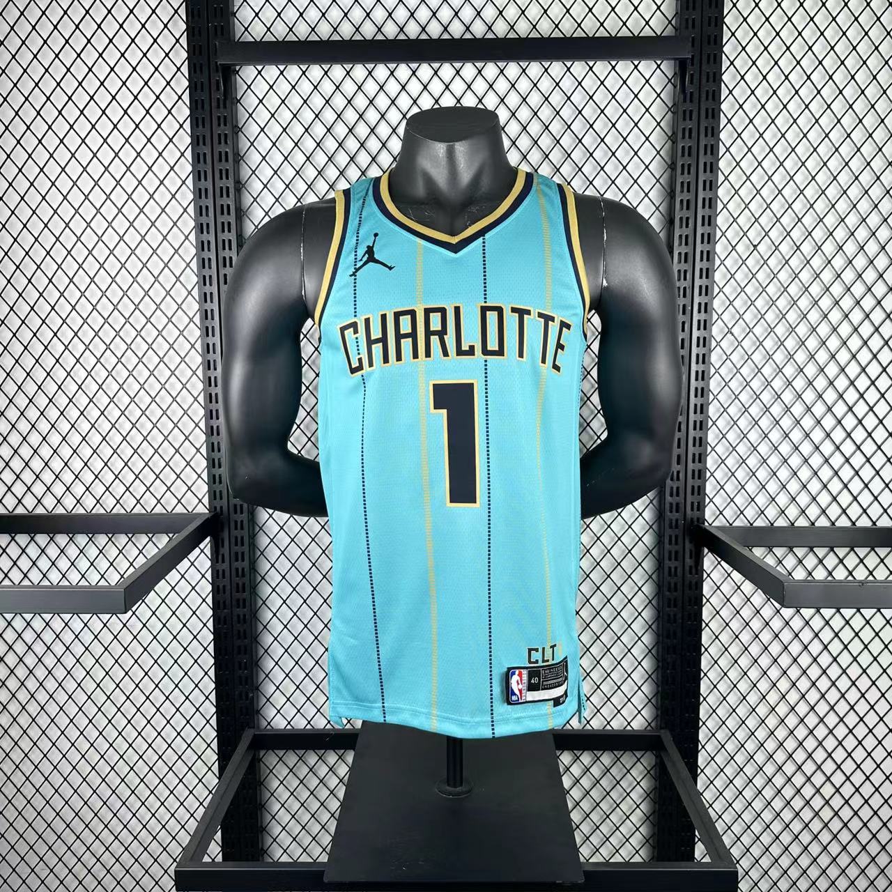 Charlotte Hornets 2024/25