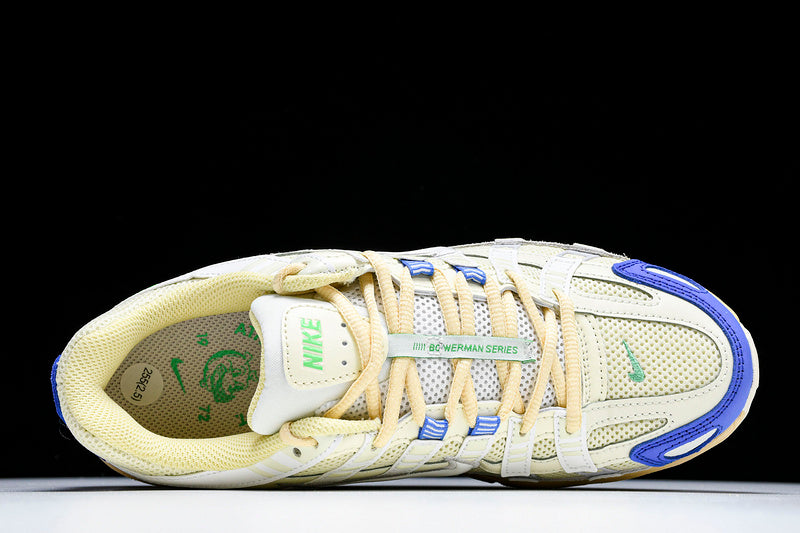 Nike P-6000 FJ5443-113