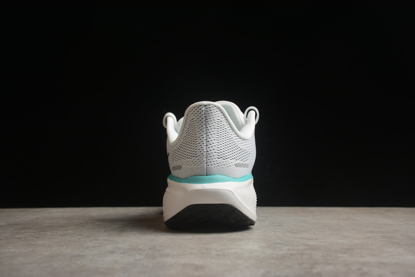 Air Zoom Pegasus 41 FD2722 103