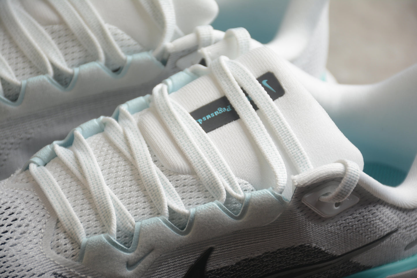 Air Zoom Pegasus 41 FD2722 103