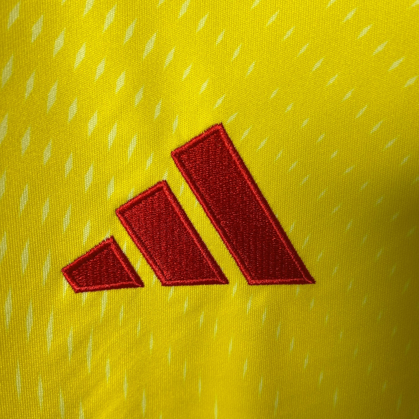 Arsenal 2025/26 Portero