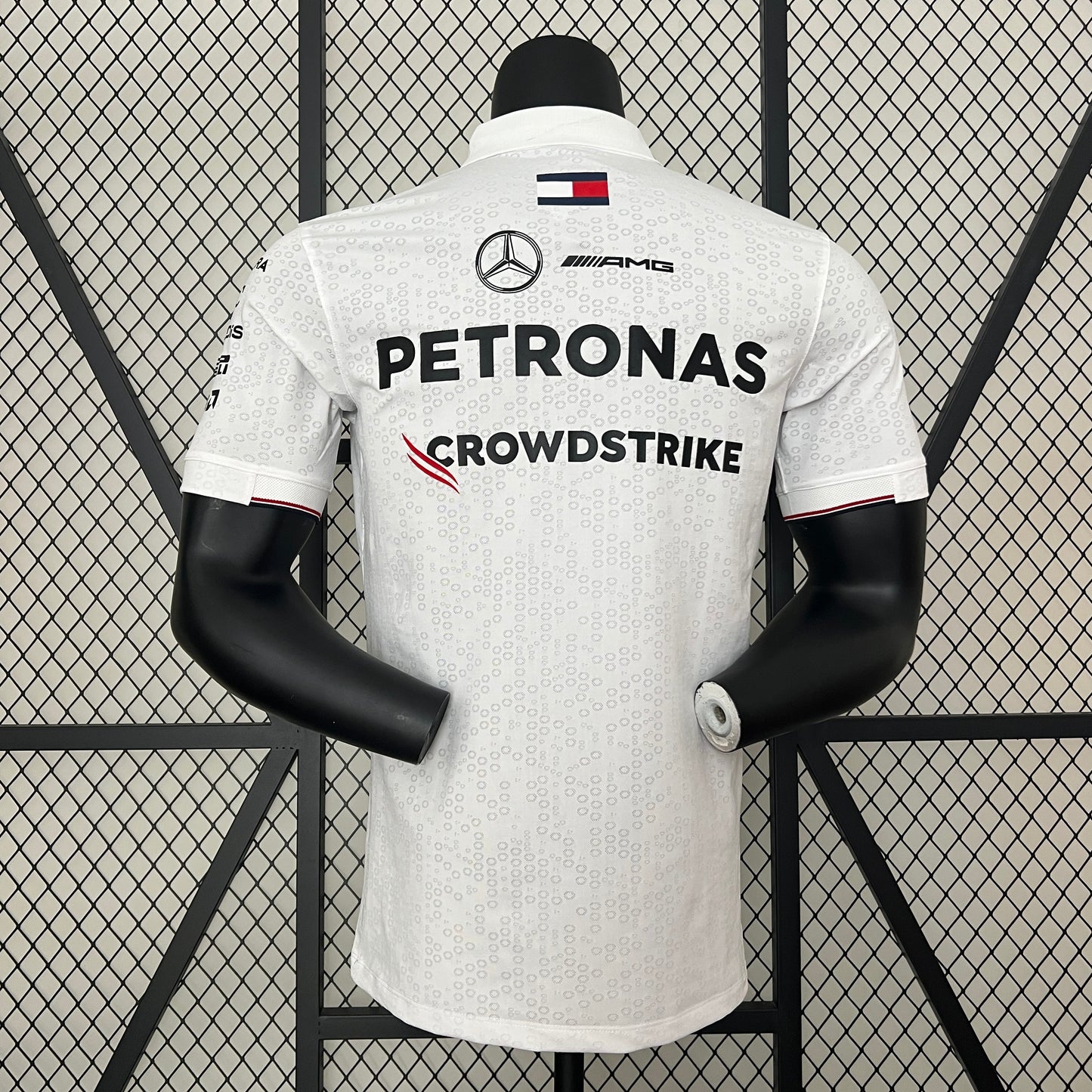 Polo Mercedes 2024 - Formula 1