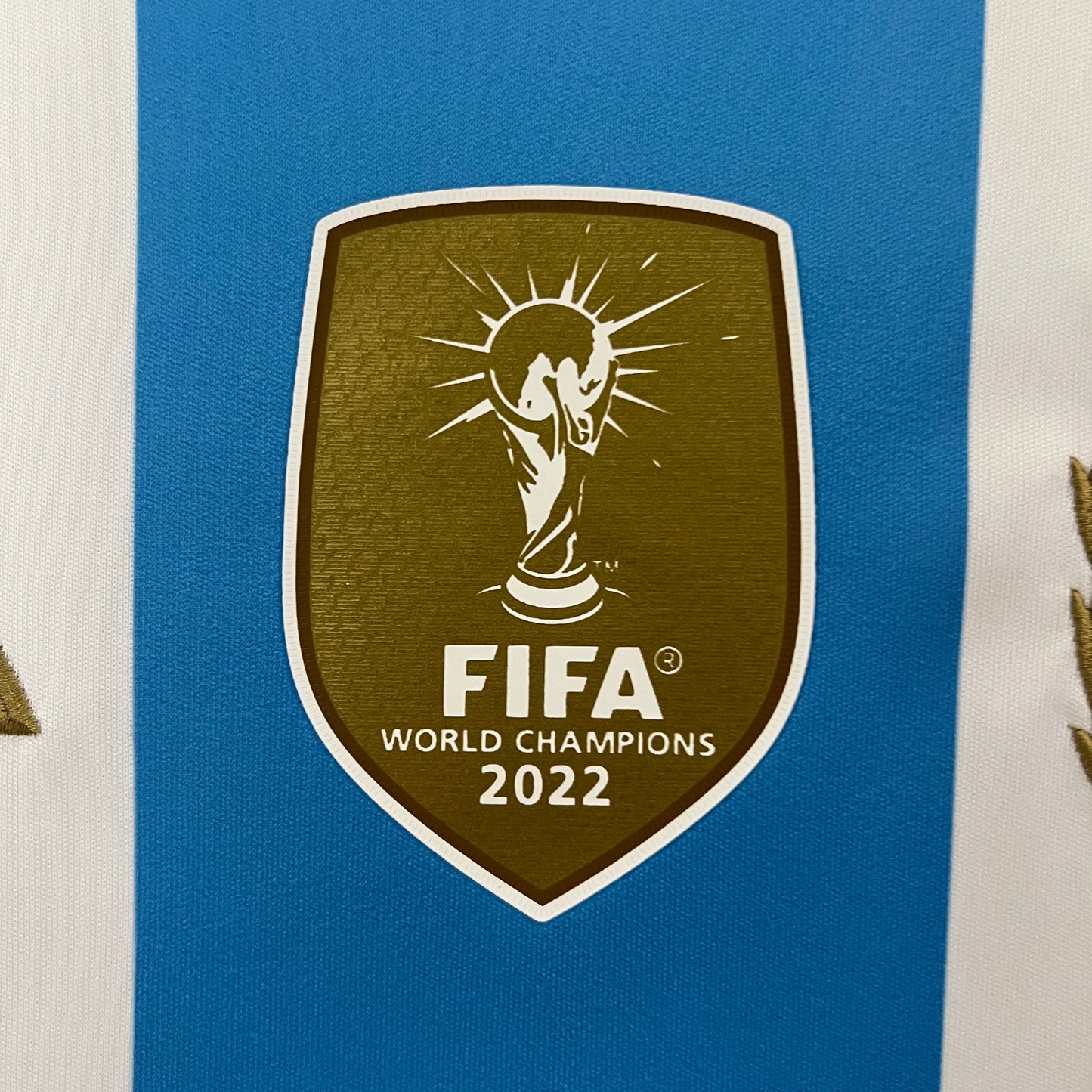 Argentina 2024 Home