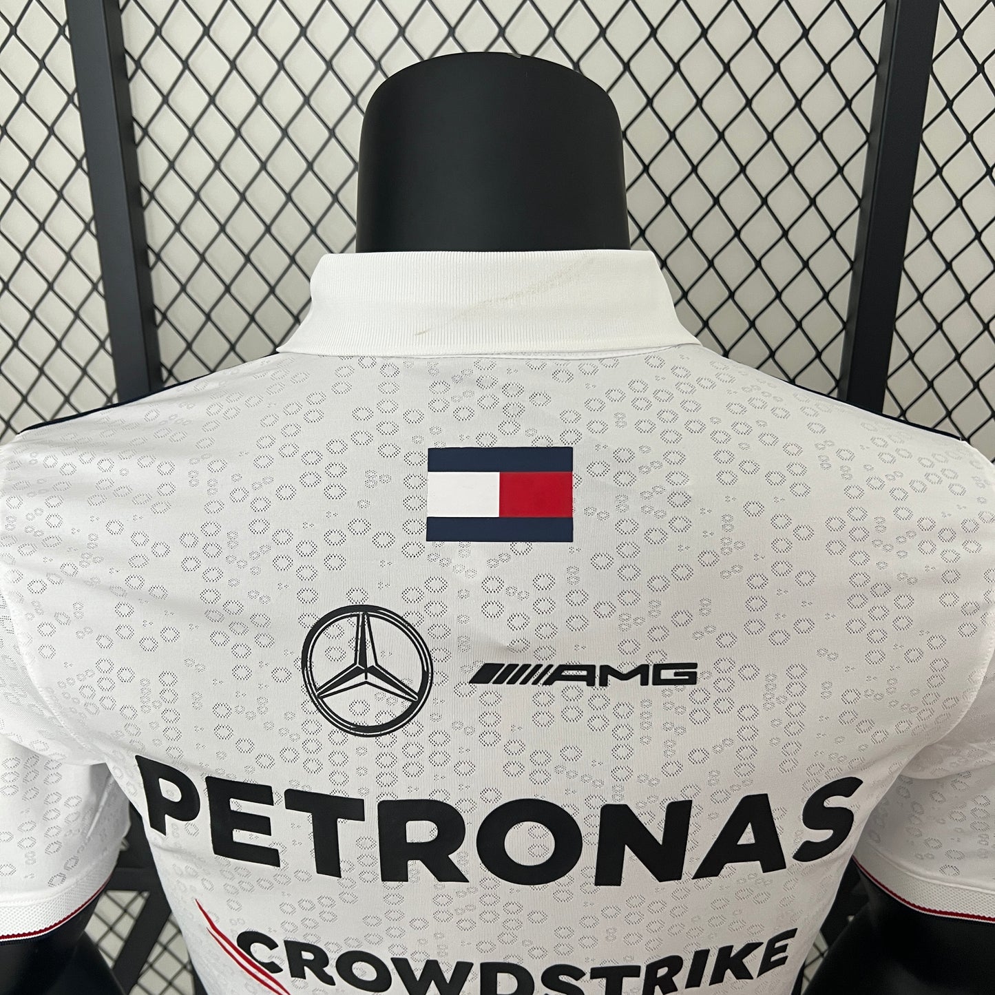 Polo Mercedes 2024 - Formula 1