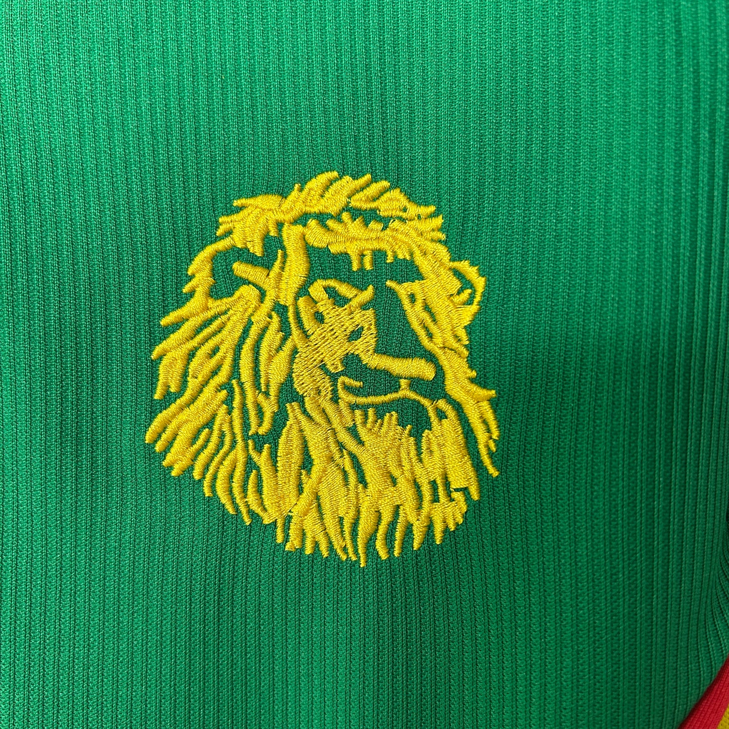 Camerún retro 1998 Home