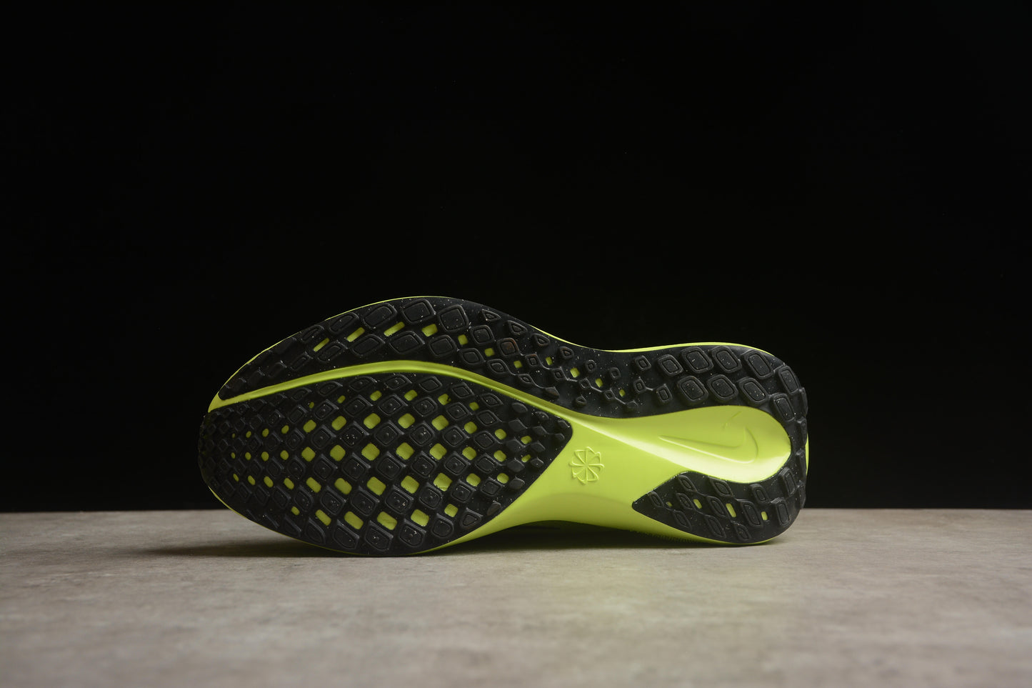 Air Zoom Pegasus 41 FD2723-701