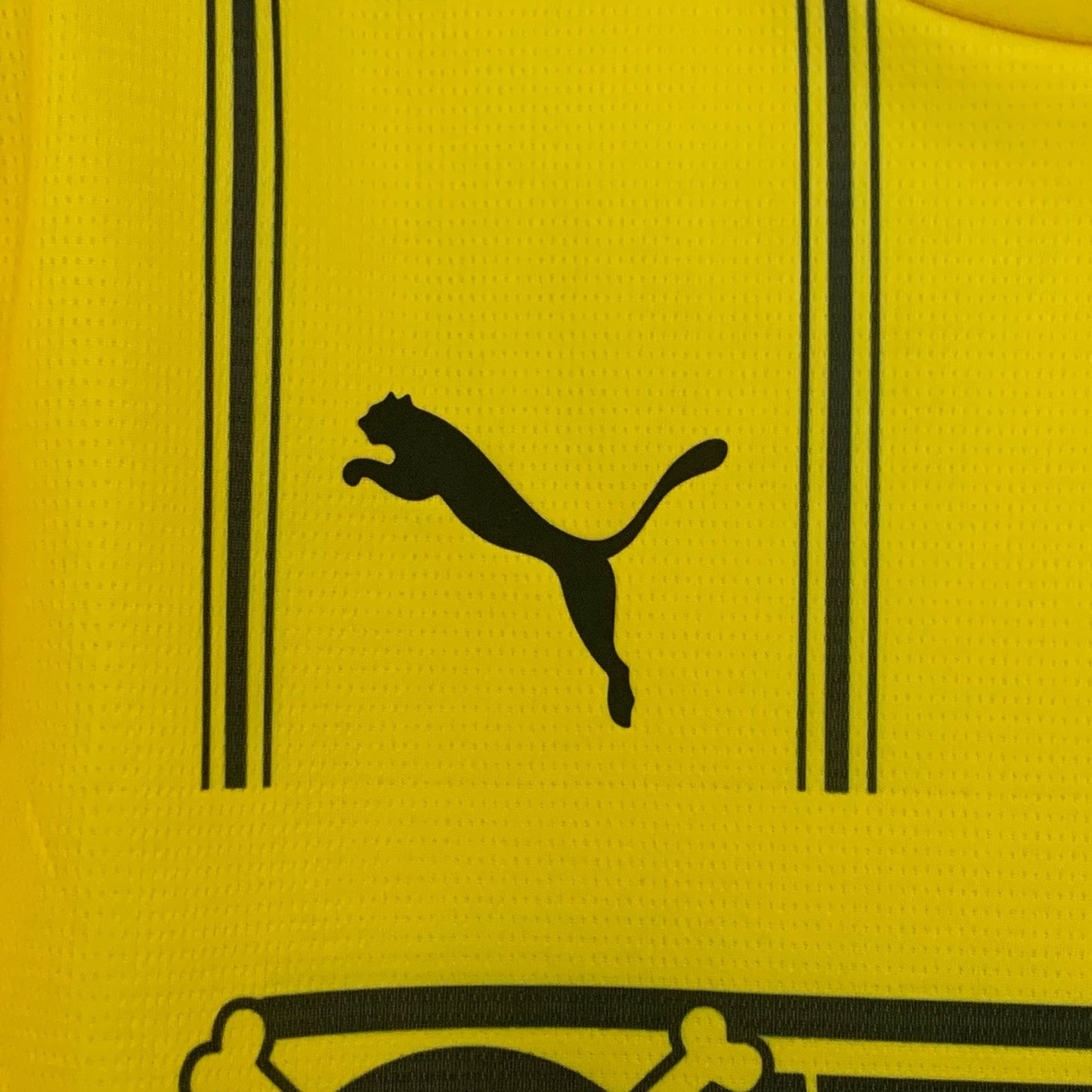Borussia Dortmund 2025/26 x One Piece