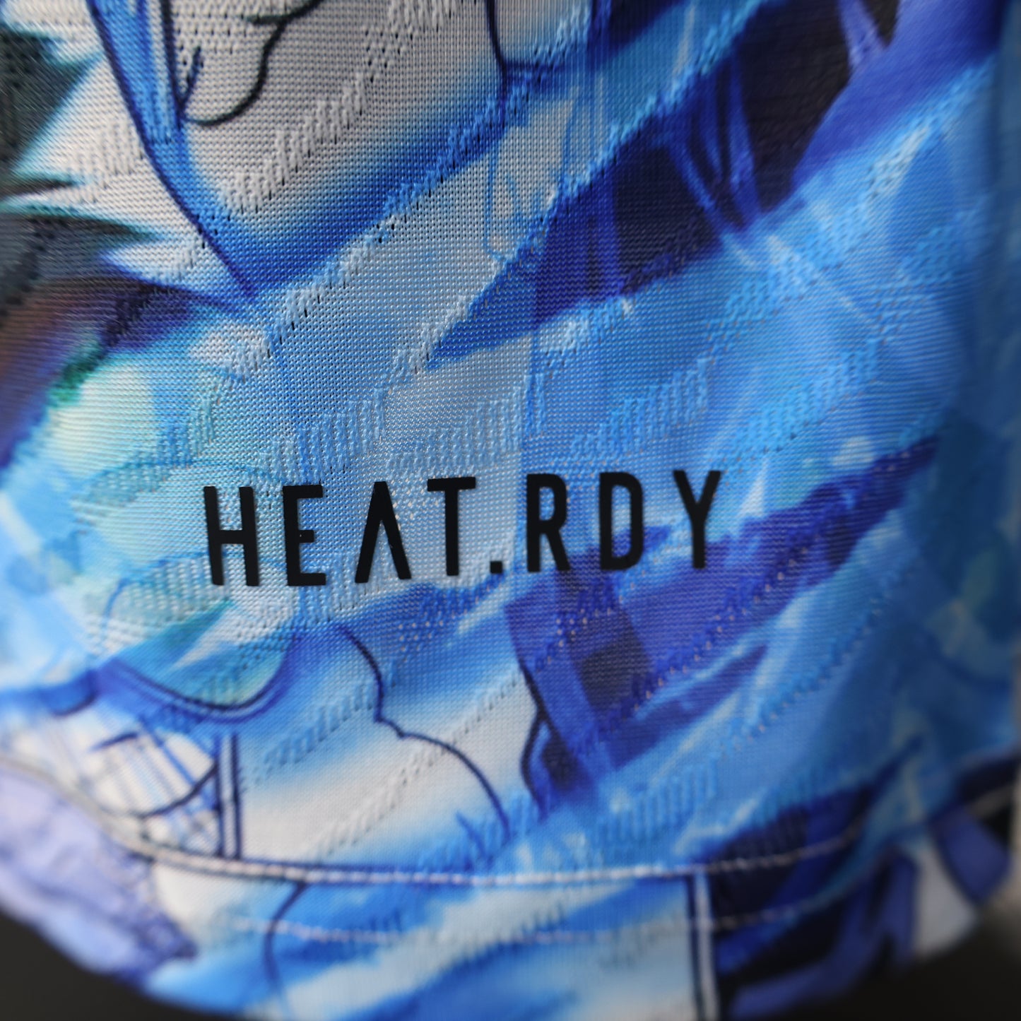 Japan 2025/26 edicion especial