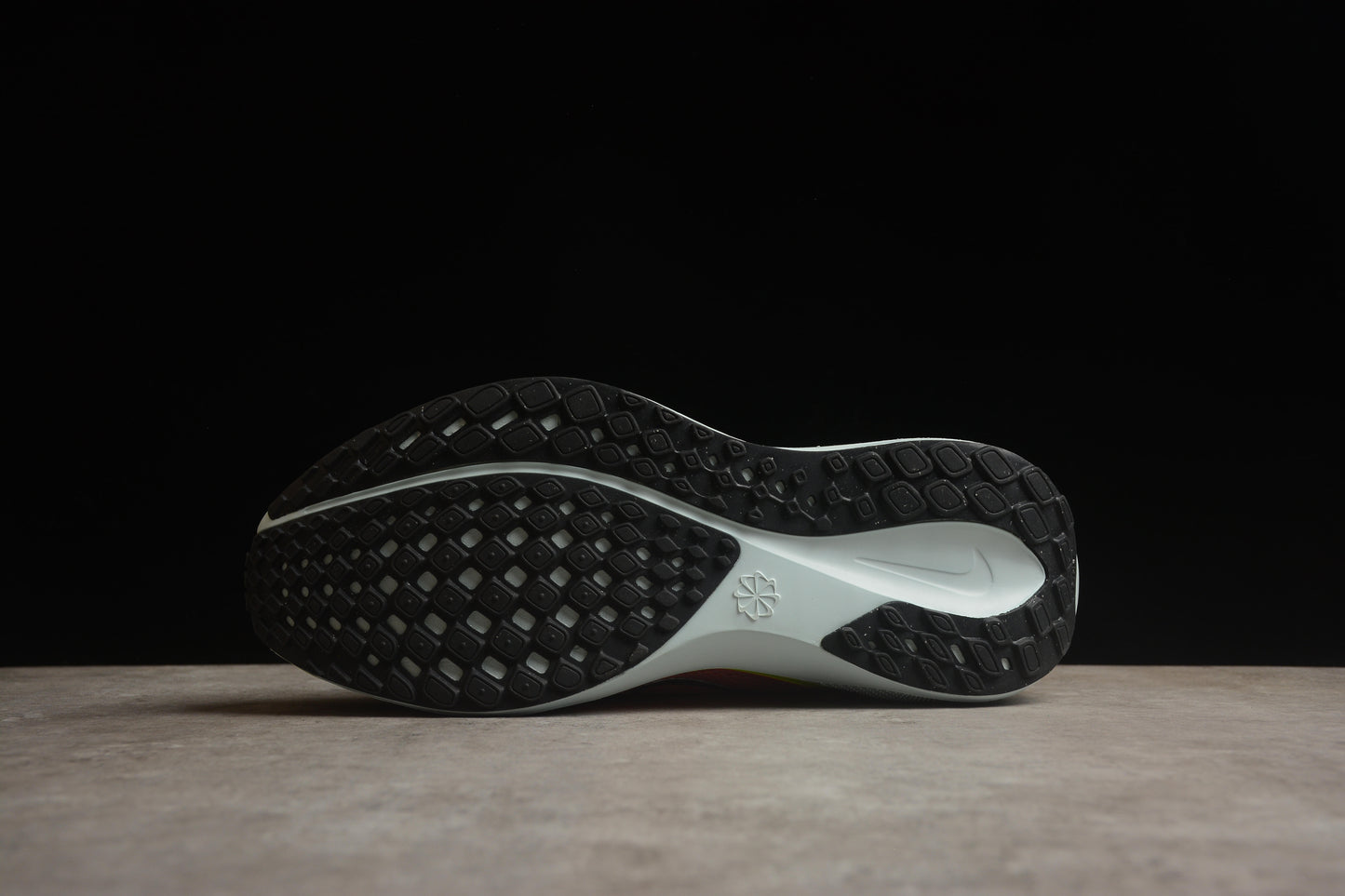 Air Zoom Pegasus 41 FD2723-100