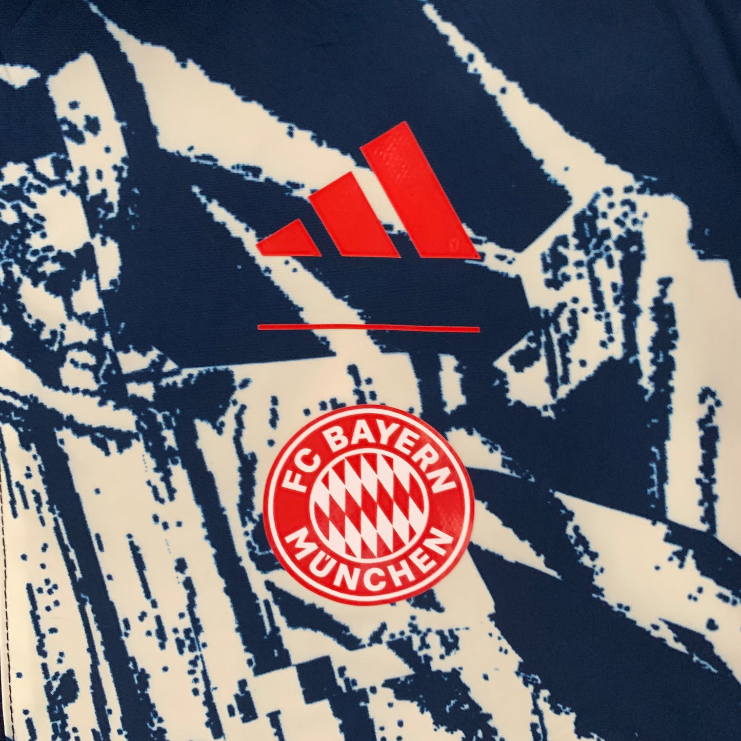 Bayern Munich 2023-24 reversible