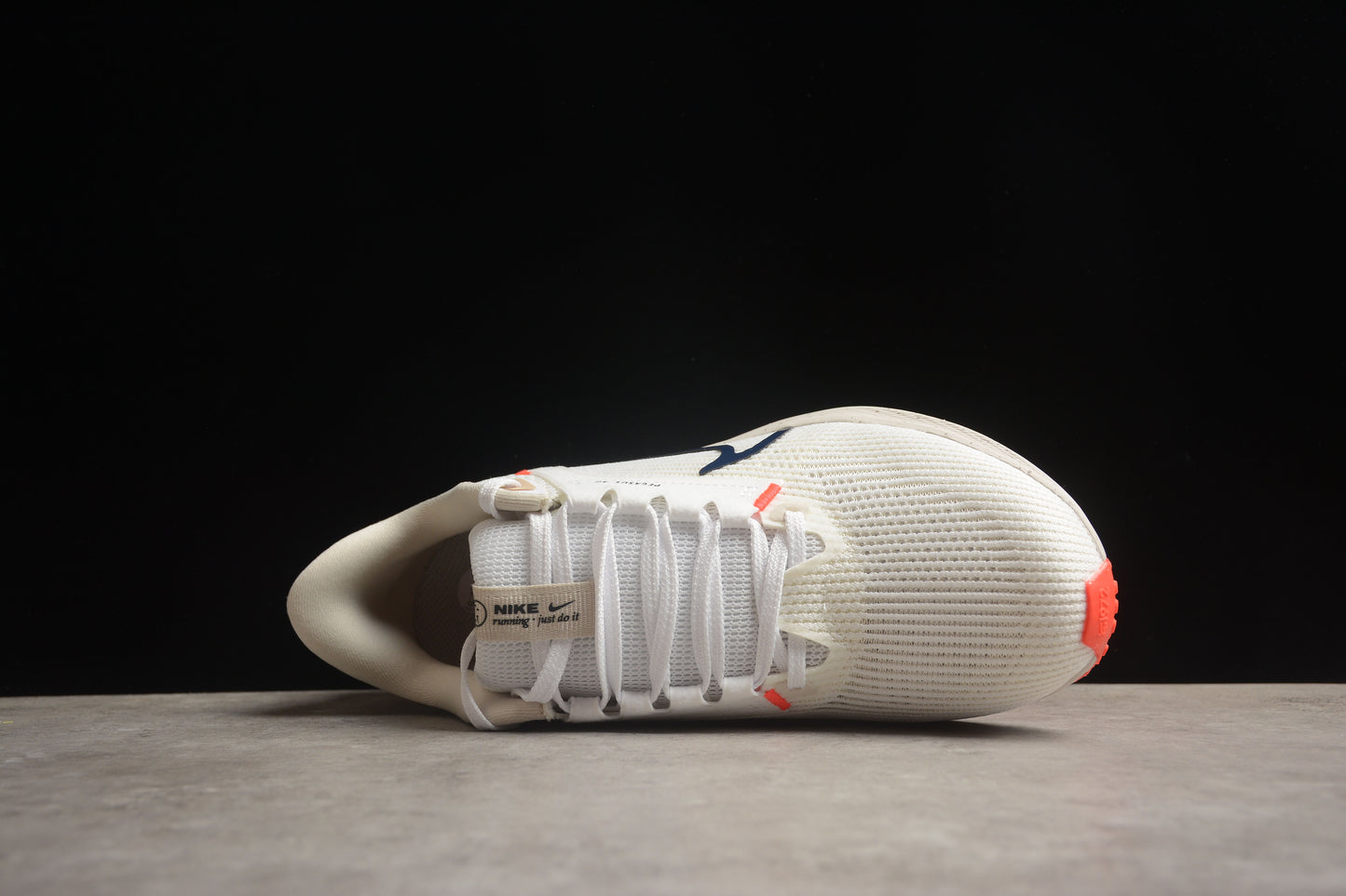 Air Zoom Pegasus 40 DV7480 100