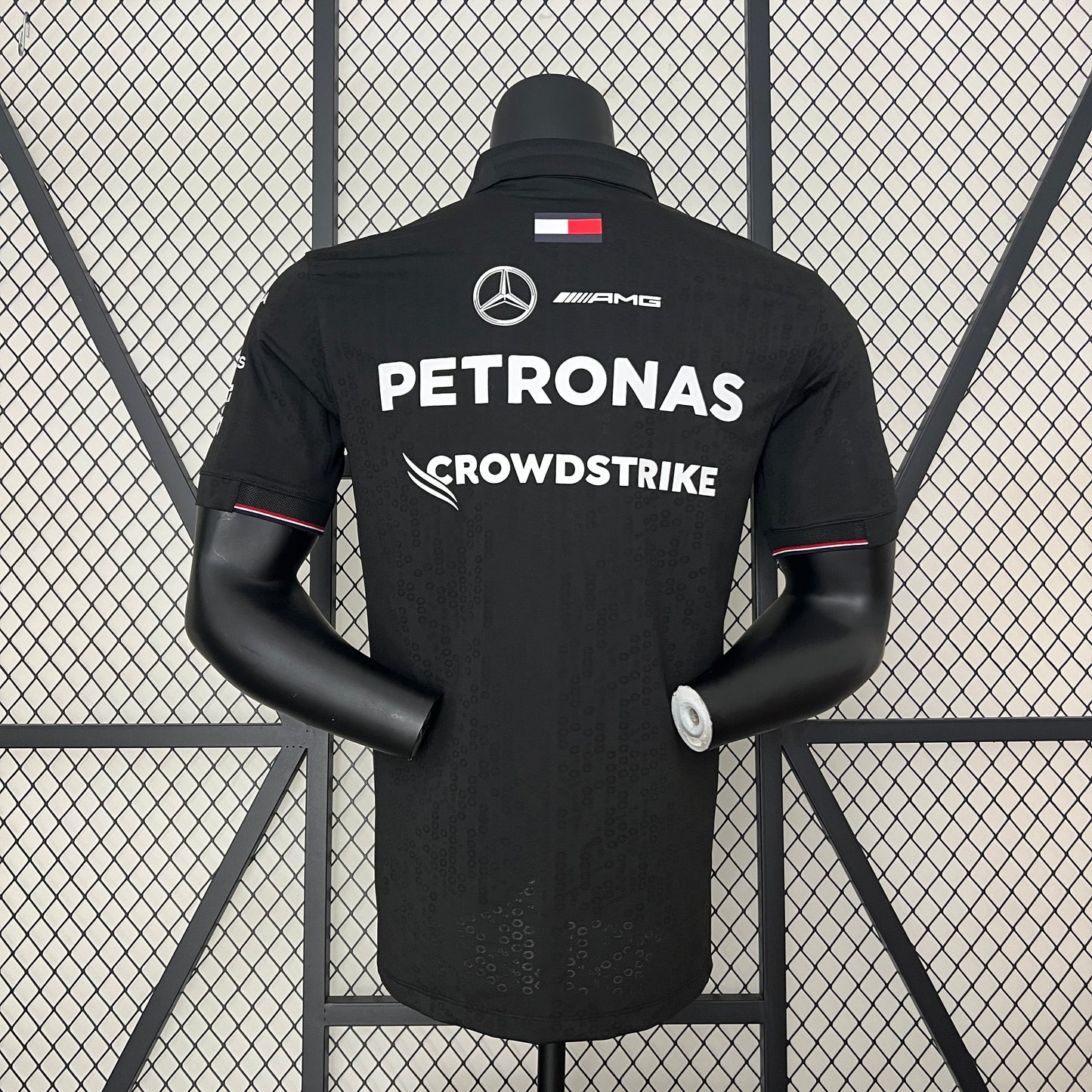 Polo Mercedes 2024 - Formula 1