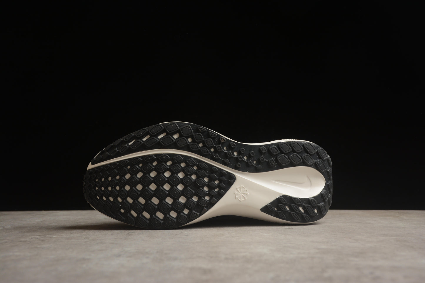 Air Zoom Pegasus 41 FD2723-004