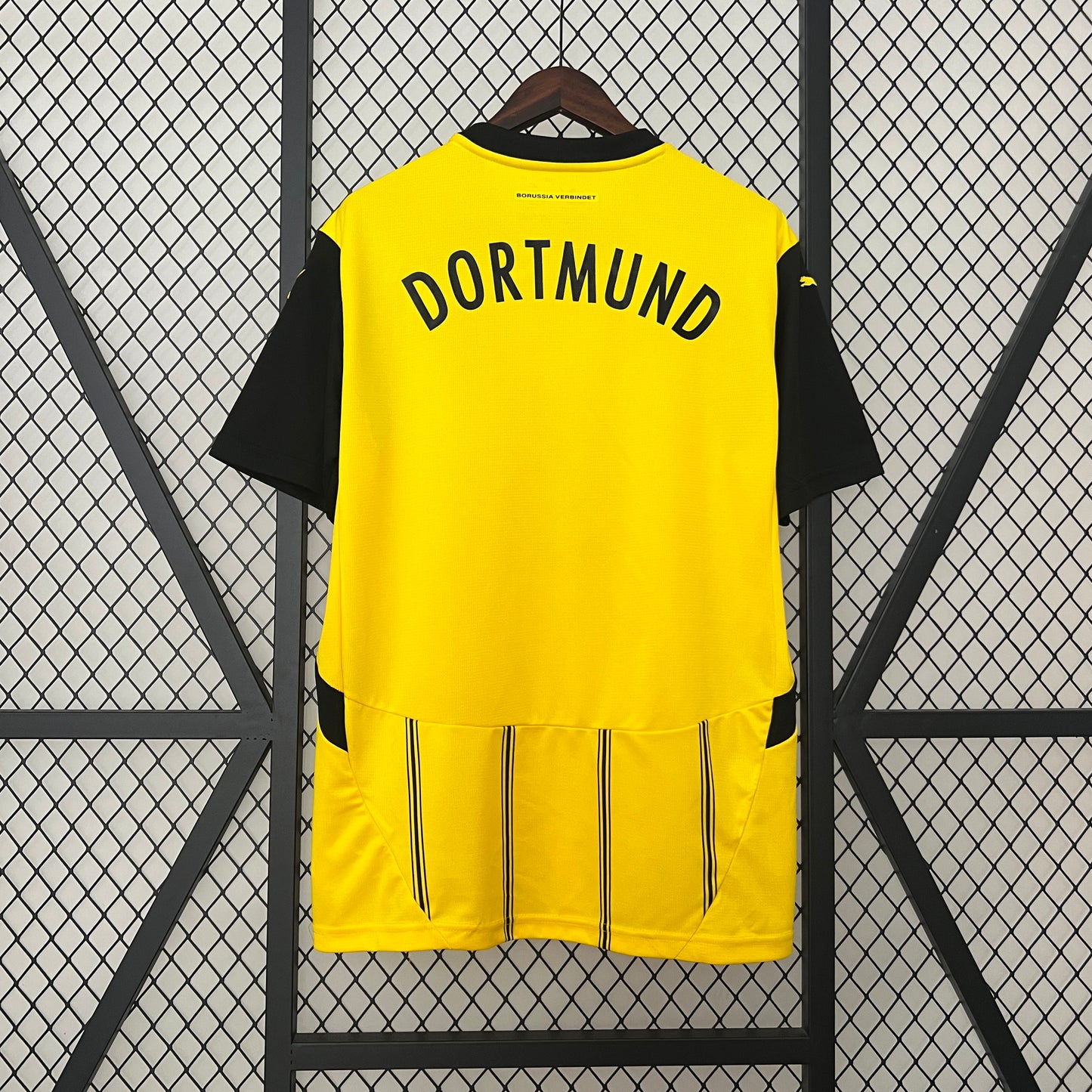 Borussia Dortmund 2024/25 Home
