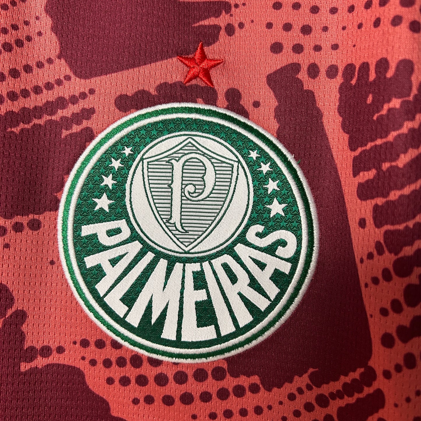 Palmeiras 2025/26 Portero