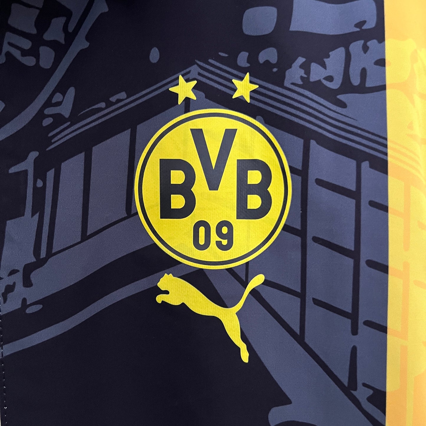 Dortmund 2024-25 reversible