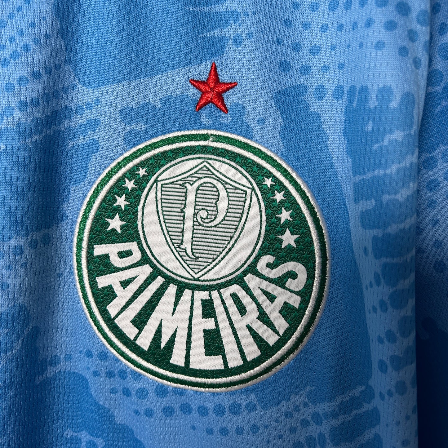 Palmeiras 2025/26 Portero