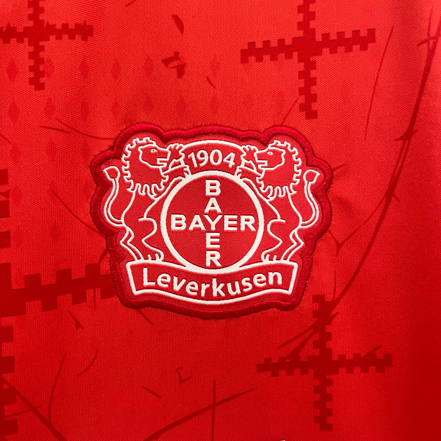 Bayern Leverkusen 2024/25 Home