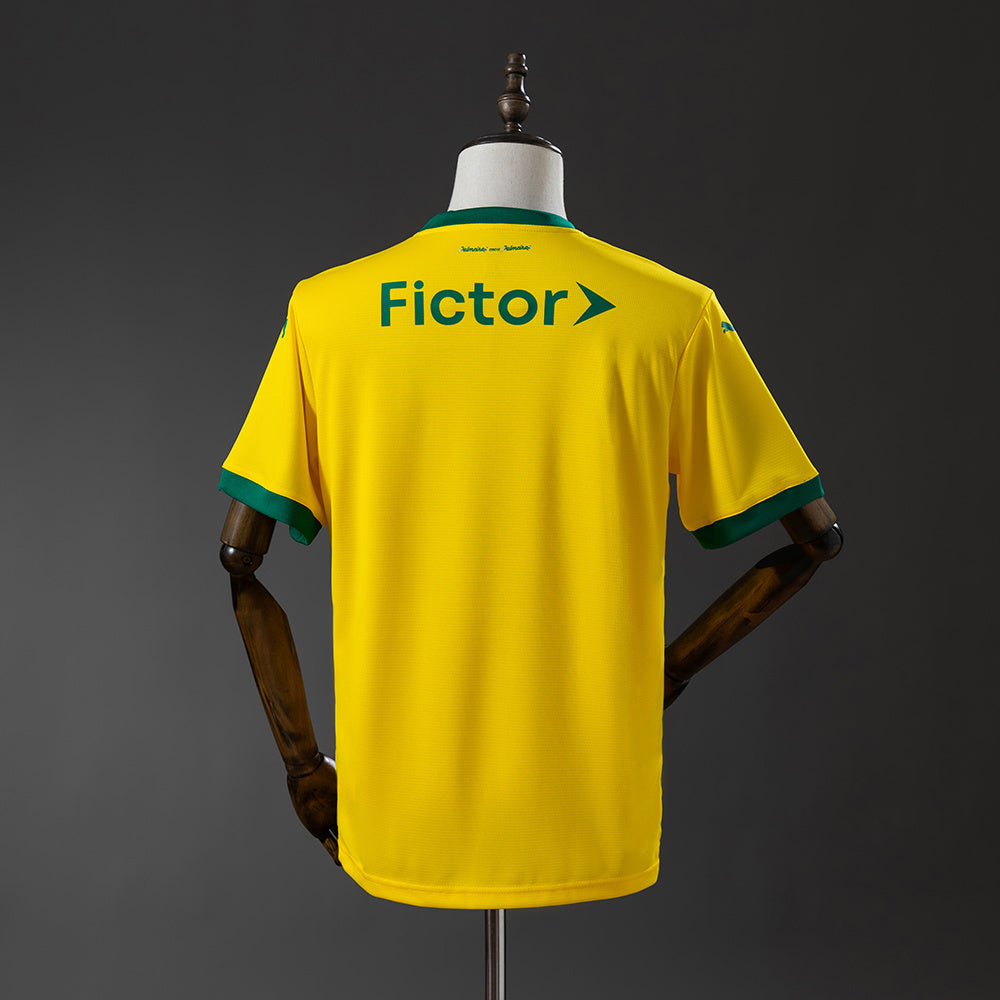 Palmeiras 2025/26 Third Away Fan version