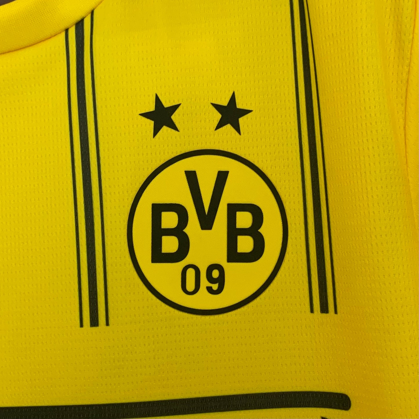 Borussia Dortmund 2025/26 x One Piece