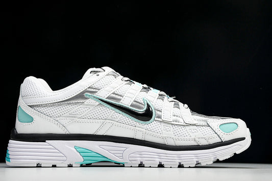 Nike P-6000 BV1021-104