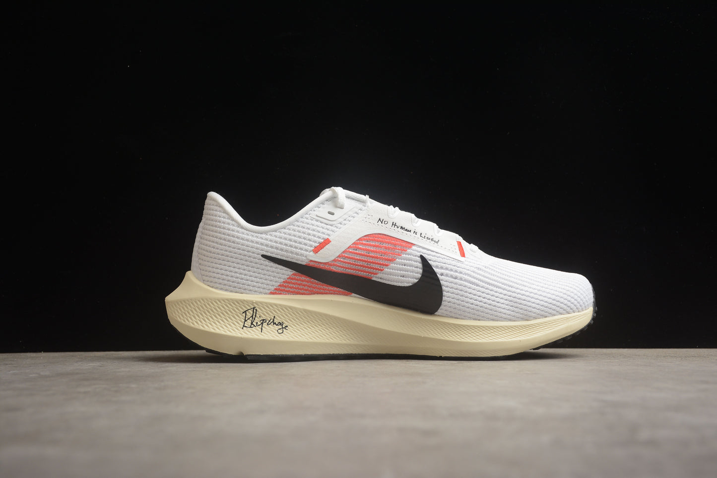 Air Zoom Pegasus 40 FJ0686 100