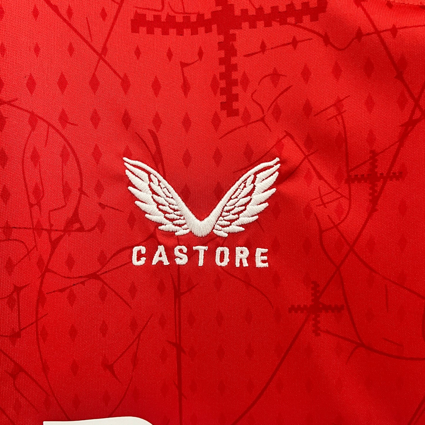 Bayern Leverkusen 2024/25 Home