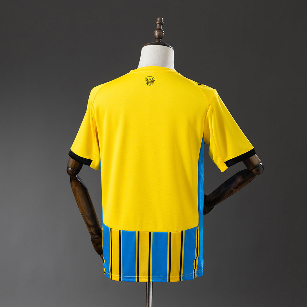 Southampton 2025/26 Away Fan version