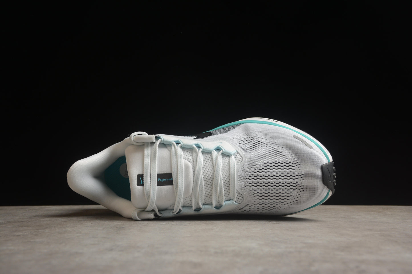 Air Zoom Pegasus 41 FD2722 103