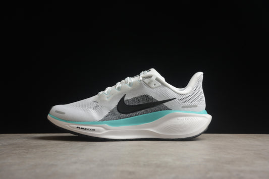 Air Zoom Pegasus 41 FD2722 103