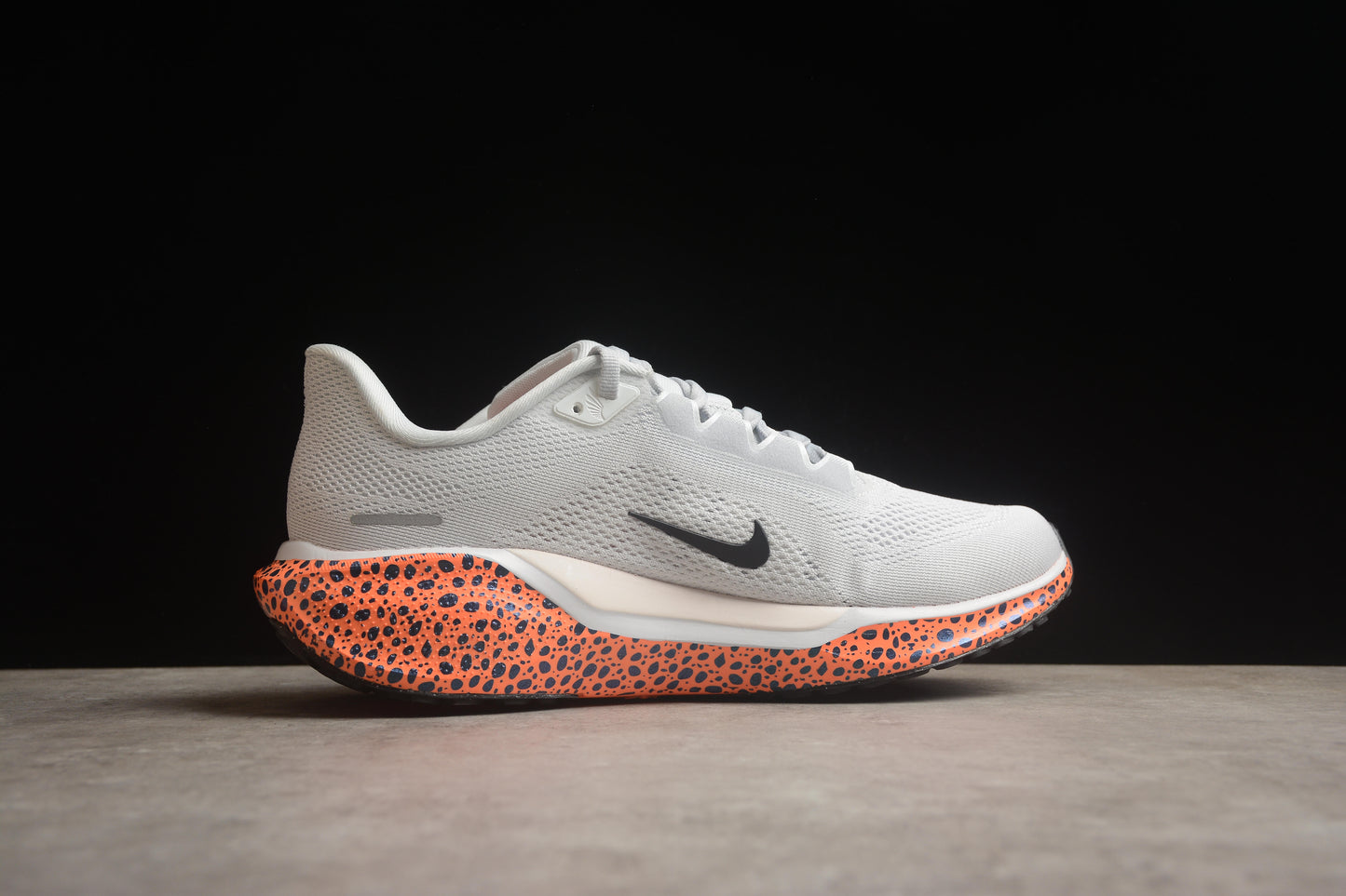 Air Zoom Pegasus 41 FV2229 900