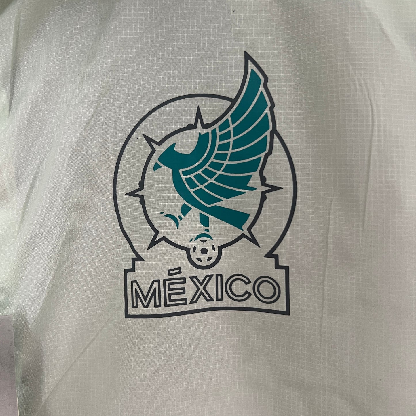 México 2024 reversible