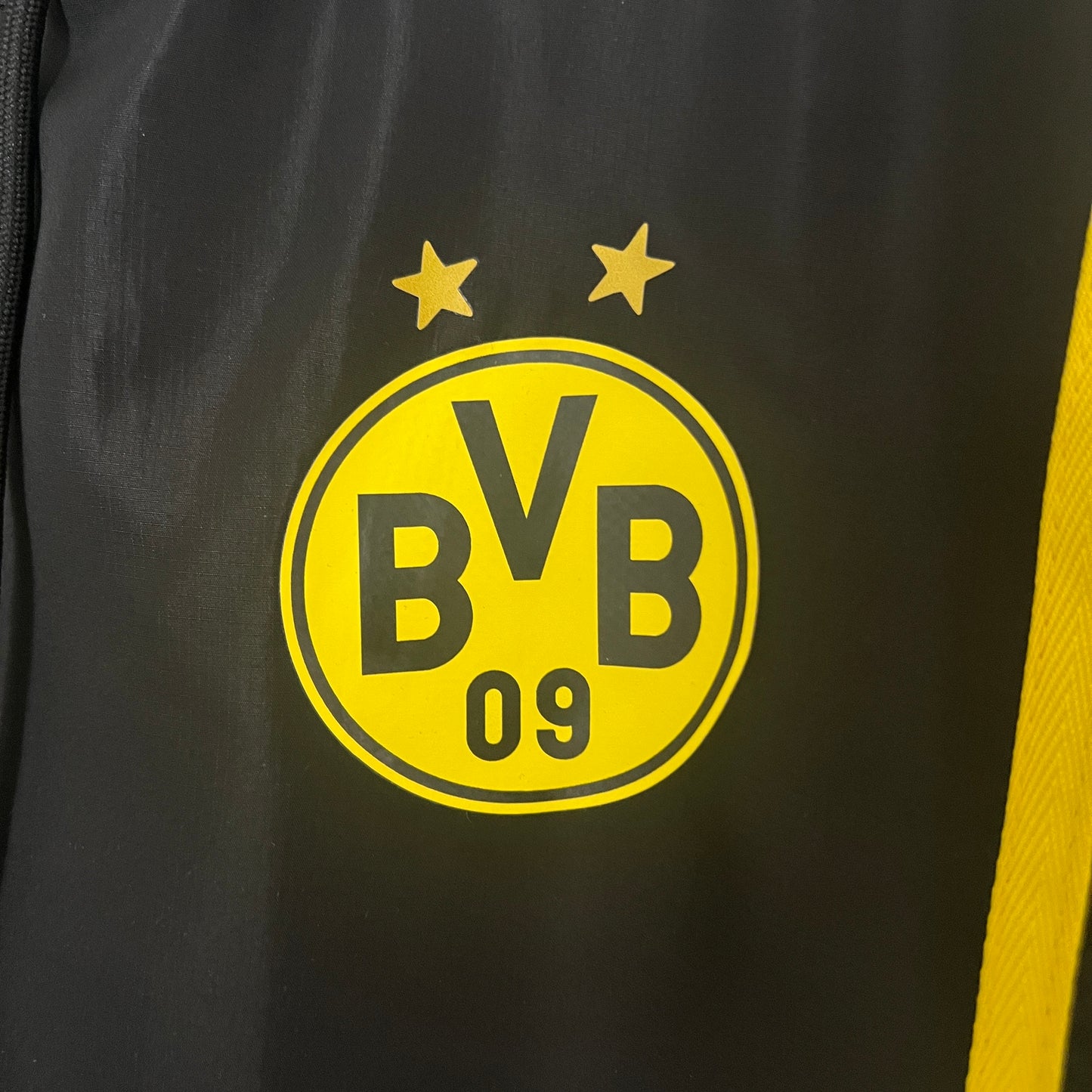 Dortmund 2024-25 2