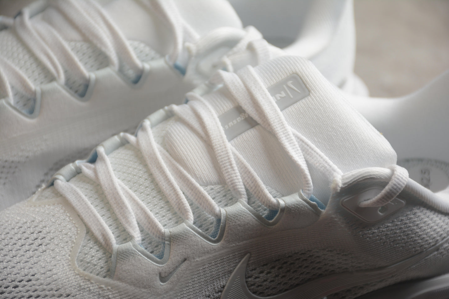 Air Zoom Pegasus 41 FD2722-102